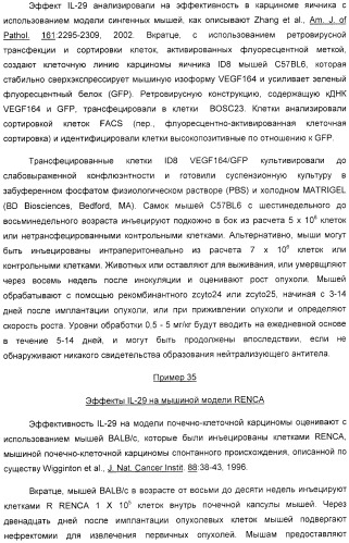 Применение il-28 и il-29 для лечения карциномы и аутоиммунных нарушений (патент 2389502)