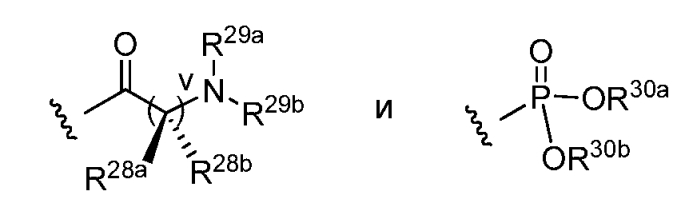 Спирооксиндольные антагонисты mdm2 (патент 2553269)