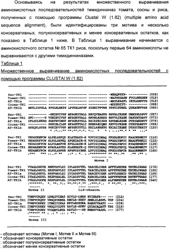 Растительные тимидинкиназы и их применение (патент 2339695)