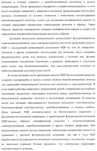 Биологический микрочип для множественного параллельного иммунологического анализа соединений и способы иммуноанализа, в которых он используется (патент 2363955)