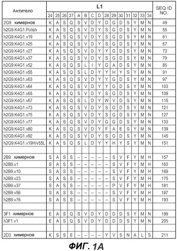 Антитела против bv8 и их применение (патент 2559542)