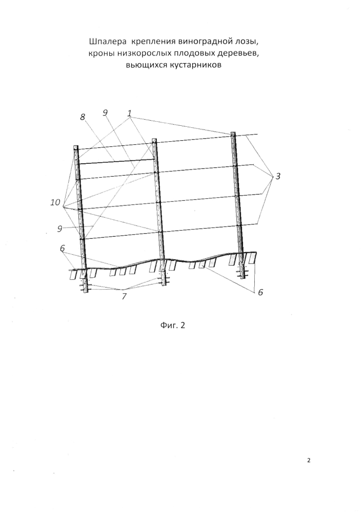 Шпалера крепления виноградной лозы, кроны низкорослых плодовых деревьев, вьющихся кустарников (патент 2594861)