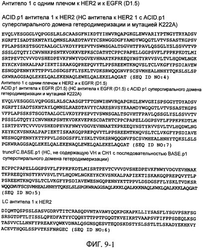 Содержащие суперспираль и/или привязку белковые комплексы и их применение (патент 2573915)
