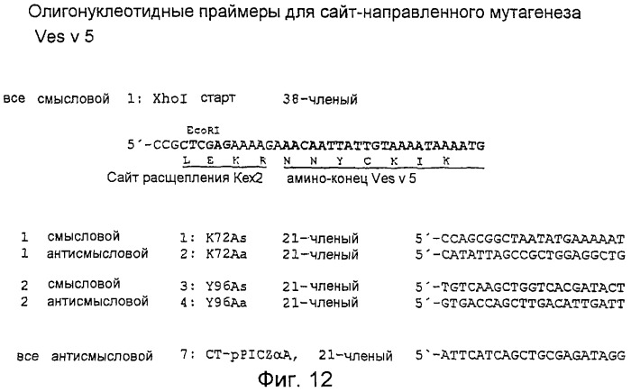 Новые мутантные аллергены (патент 2285042)