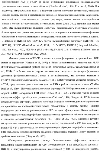 Получение поликетидов и других природных продуктов (патент 2430922)