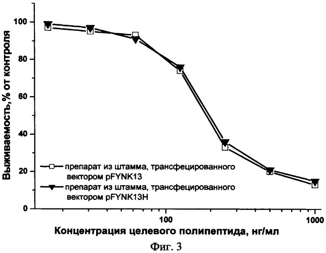 Способ получения рекомбинантного фрагмента плазминогена человека, обладающего антиангиогенным действием (патент 2458987)