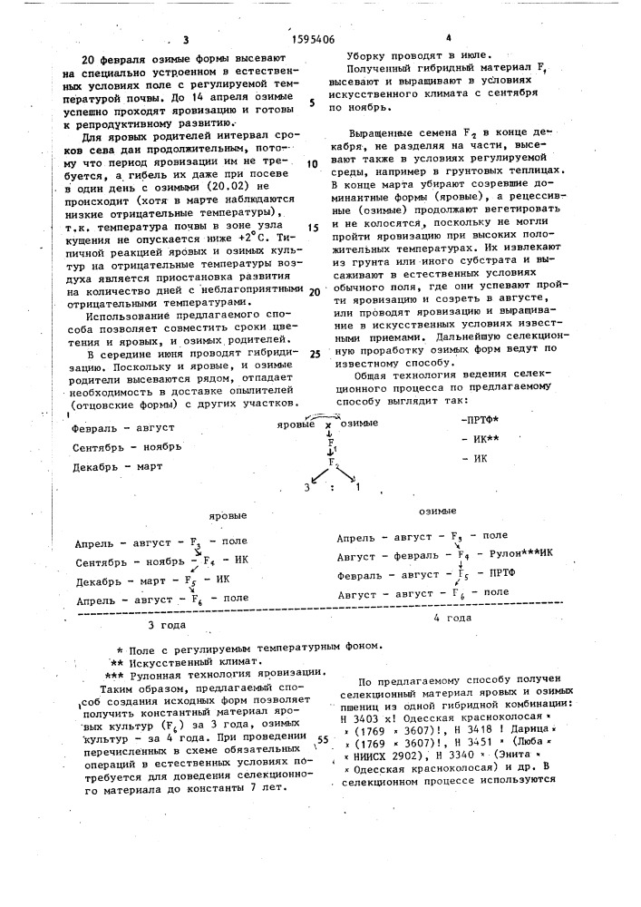 Способ создания исходного материала яровых и озимых форм пшеницы (патент 1595406)