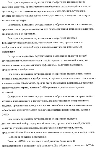 Антитела к ох40l (патент 2395523)