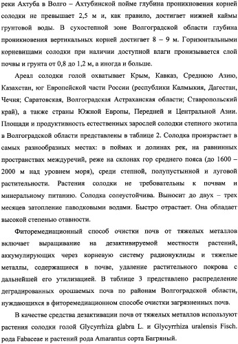 Фиторемедиационный способ очистки почв от тяжелых металлов (патент 2338353)