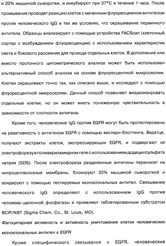 Человеческие моноклональные антитела к рецептору эпидермального фактора роста (egfr), способ их получения и их использование, гибридома, трансфектома, трансгенное животное, экспрессионный вектор (патент 2335507)