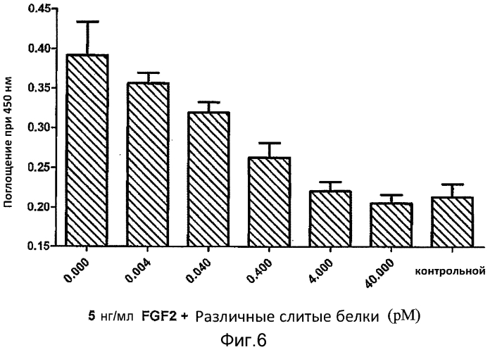 Fgf-r-fc слитый белок и его использование (патент 2560573)