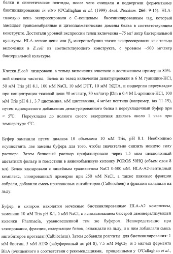 Экспонирование т-клеточных рецепторов (патент 2346004)