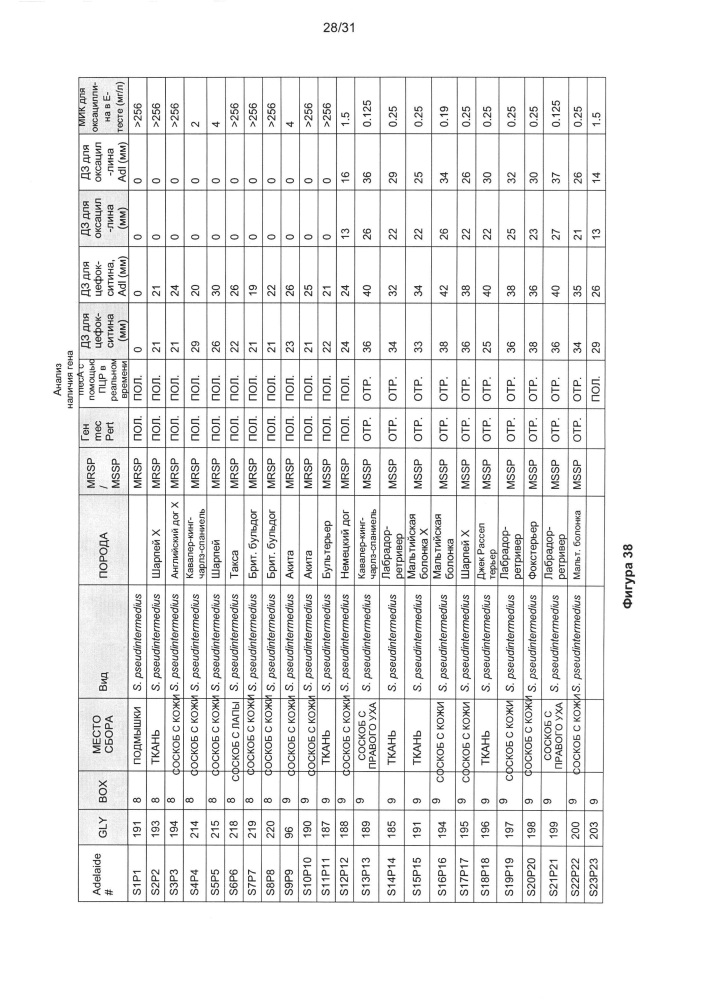 Способы лечения бактериальных инфекций (патент 2666605)