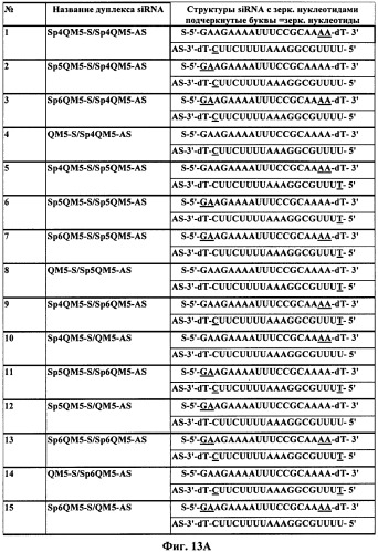 Новые структуры малых интерферирующих рнк (sirna) (патент 2487716)