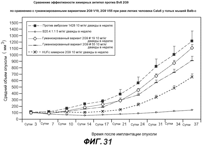 Антитела против bv8 и их применение (патент 2559542)