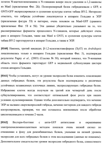 Набор последовательностей для таргетинга экспрессии и контроля посттрансляционных модификаций рекомбинантного полипептида (патент 2481399)