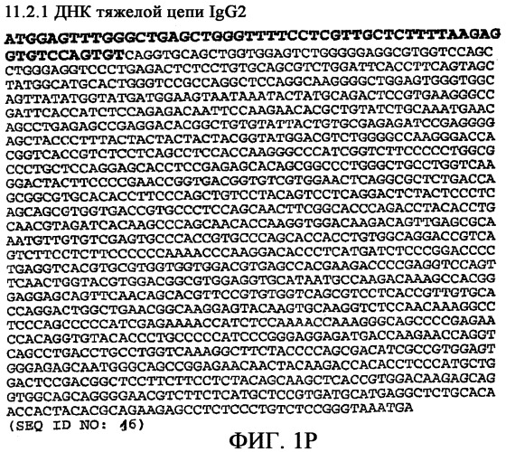 Применение антител к ctla-4 (патент 2346702)