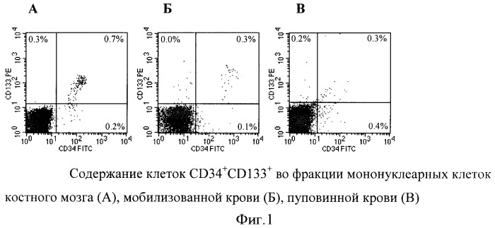 Способ увеличения количества гемопоэтических недифференцированных стволовых клеток пациента ex vivo (патент 2360965)