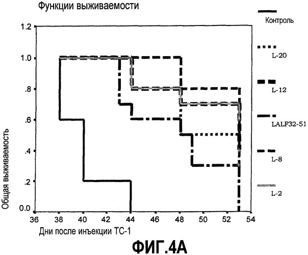 Иммуномодулирующие и противоопухолевые пептиды (патент 2430109)