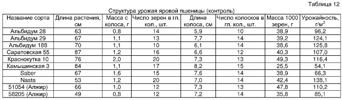 Способ оценки потенциальной продуктивности сельскохозяйственных растений, преимущественно коллекционных сортов яровых зерновых колосовых культур, при возделывании в условиях резко континентального климата (патент 2294091)