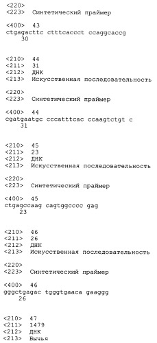 Трансгенные копытные животные, имеющие пониженную активность прионного белка, и их применения (патент 2384059)