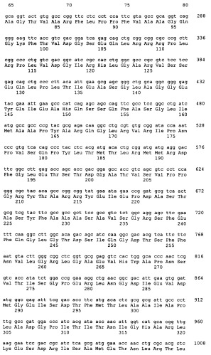 Гены grg23 и grg51, придающие устойчивость к гербицидам (патент 2393225)