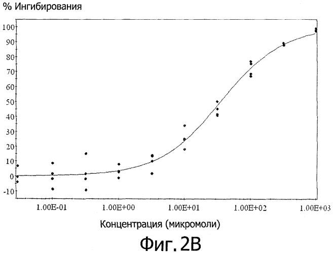 Применение карнозола и/или розманола для повышения активности нейрорецепторов (патент 2440012)