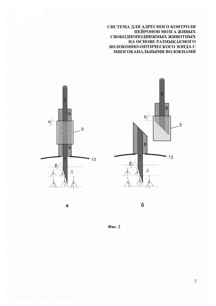 Система для адресного контроля нейронов мозга живых свободноподвижных животных на основе размыкаемого волоконно-оптического зонда с многоканальными волокнами (патент 2639790)