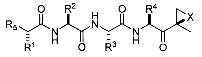 Соединения для ингибирования ферментов (патент 2384585)