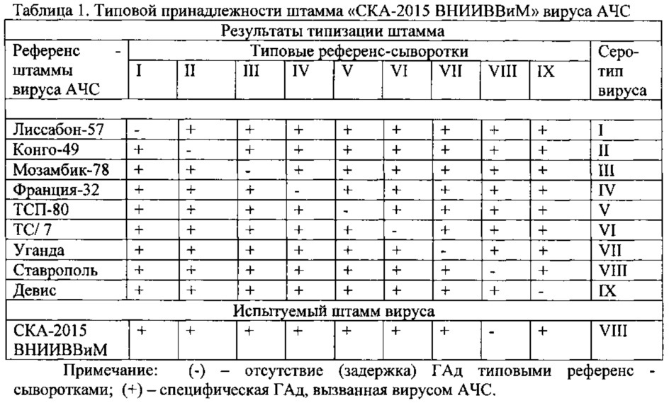 Аттенуированный штамм "ска-2015 внииввим" вируса африканской чумы свиней viii серотипа для вирусологических и молекулярно-генетических исследований (патент 2607791)