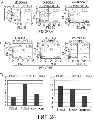 Способ сбора функциональных клеток in vivo с высокой эффективностью (патент 2571230)