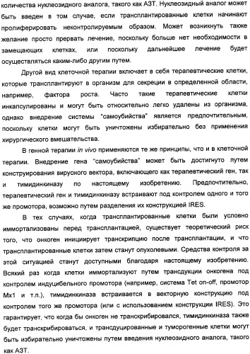 Растительные тимидинкиназы и их применение (патент 2339695)