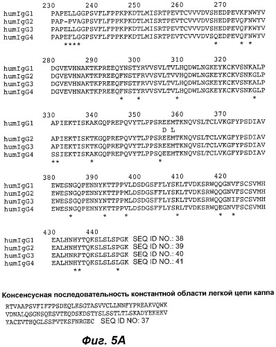 Антитела и иммуноконъюгаты и их применения (патент 2436796)
