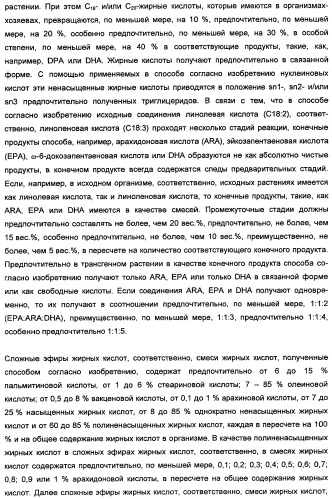 Способ получения полиненасыщенных кислот жирного ряда в трансгенных организмах (патент 2447147)