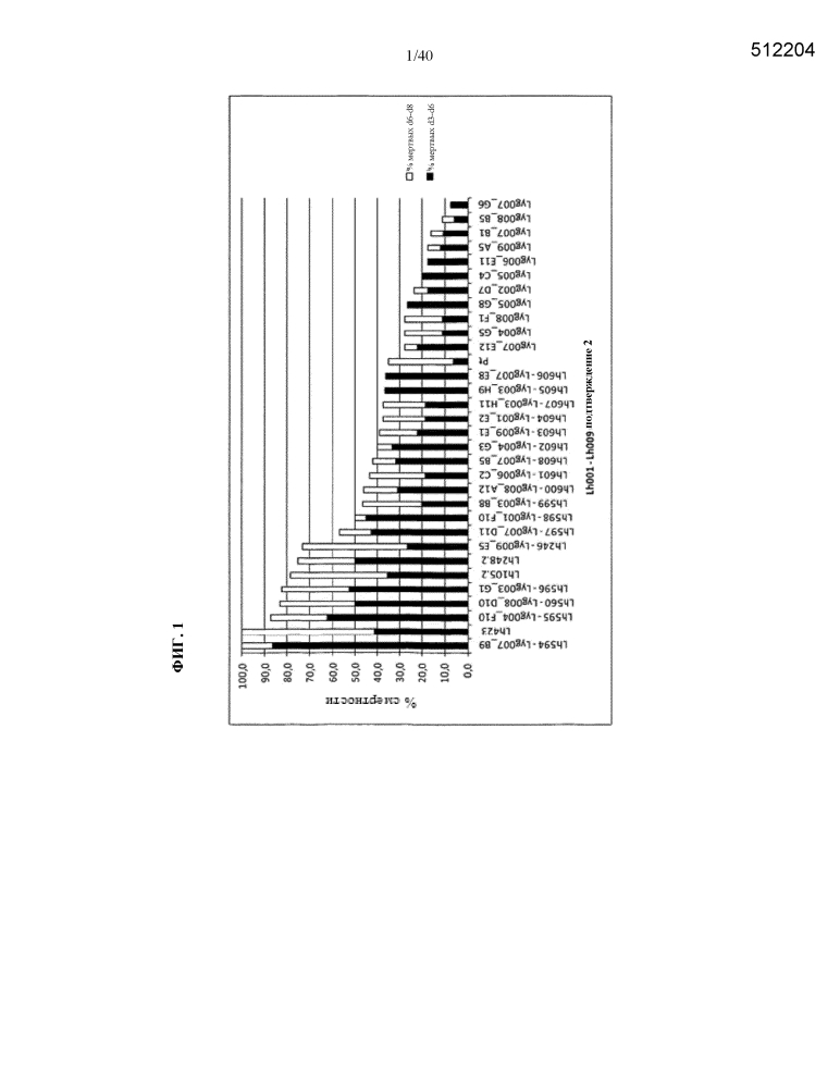 Подавление экспрессии генов у насекомых-вредителей (патент 2619219)