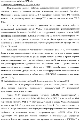 Агонистическое соединение, способное специфически узнавать и поперечно сшивать молекулу клеточной поверхности или внутриклеточную молекулу (патент 2430927)