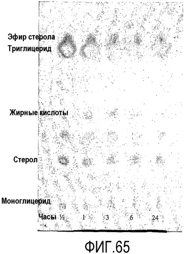 Способ (патент 2376868)