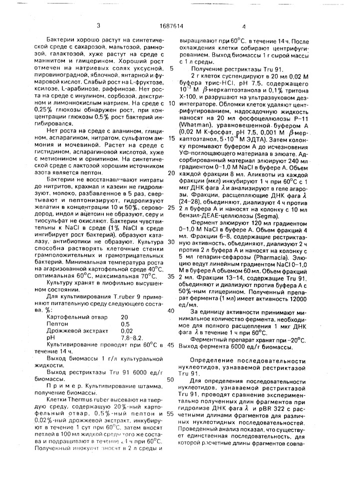 Штамм бактерий тнеrмus ruвеr-продуцент рестриктазы tru 9 1 (патент 1687614)
