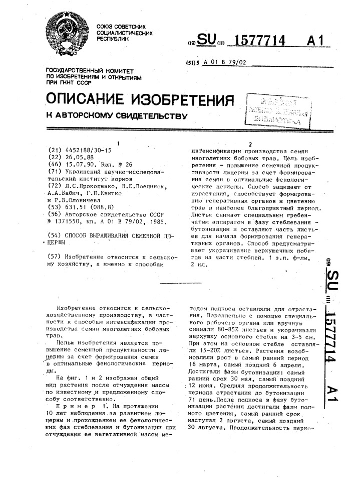 Способ выращивания семенной люцерны (патент 1577714)