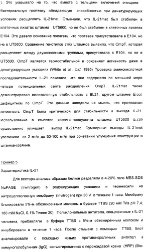 Продуцирование il-21 в прокариотических клетках-хозяевах (патент 2354703)