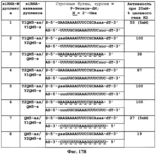 Новые структуры малых интерферирующих рнк (sirna) (патент 2487716)