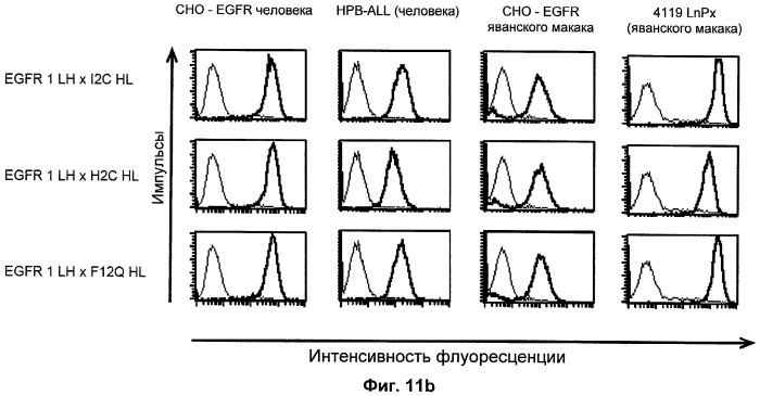 Биспецифические связывающие агенты с межвидовой специфичностью (патент 2535992)