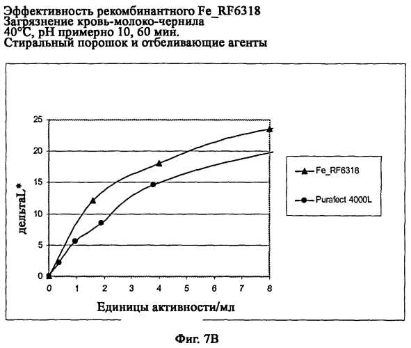 Новая протеаза грибов и ее применение (патент 2566549)