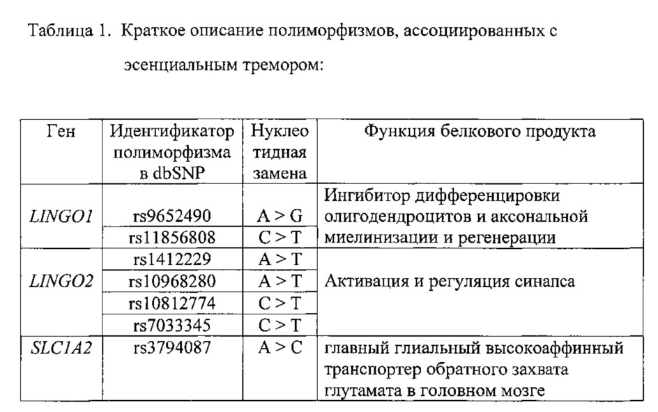 Способ и набор реагентов для выявления полиморфизмов в генах lingo1, lingo2 и slc1a2, определяющих генетическую ассоциацию с эссенциальным тремором (патент 2631615)