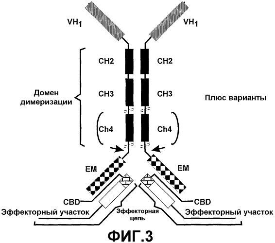 Способ получения антиген-связывающего домена vh использование (патент 2398882)