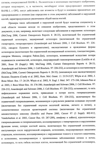 Аминокислотные последовательности, направленные на rank-l, и полипептиды, включающие их, для лечения заболеваний и нарушений костей (патент 2481355)