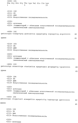 Антитела против fgfr3 и способы их применения (патент 2568066)