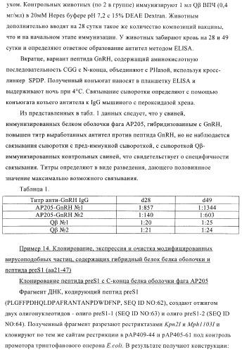 Вирусоподобные частицы, включающие гибридный белок белка оболочки бактериофага ар205 и антигенного полипептида (патент 2409667)