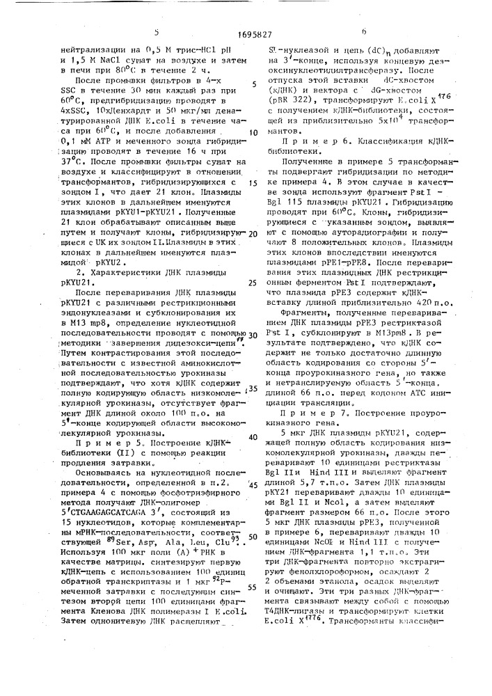 Способ получения полипептида со свойствами проурокиназы и штамм бактерий еsснеriсна coli - продуцент полипептида со свойствами проурокиназы (варианты) (патент 1695827)