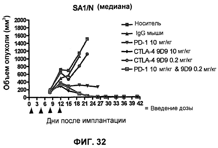 Моноклональные антитела человека к белку программируемой смерти 1 (pd-1) и способы лечения рака с использованием анти-pd-1-антител самостоятельно или в комбинации с другими иммунотерапевтическими средствами (патент 2494107)